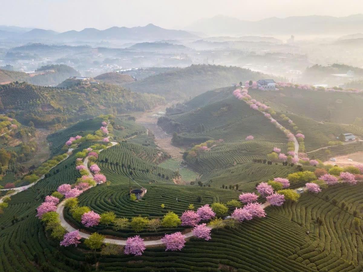 Ha Giang Hotel Sapa Dış mekan fotoğraf