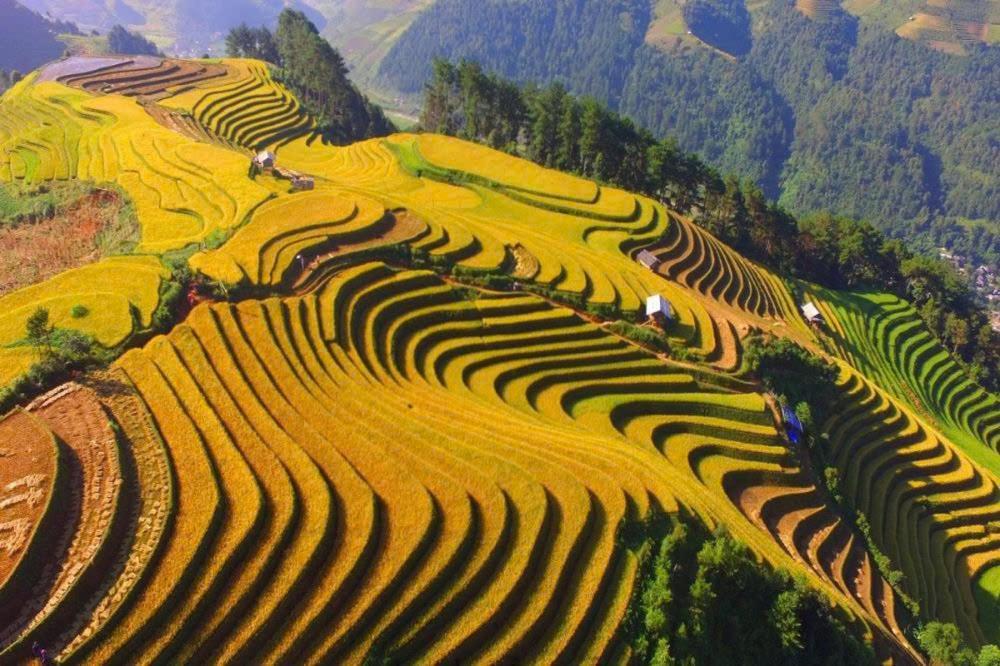 Ha Giang Hotel Sapa Dış mekan fotoğraf